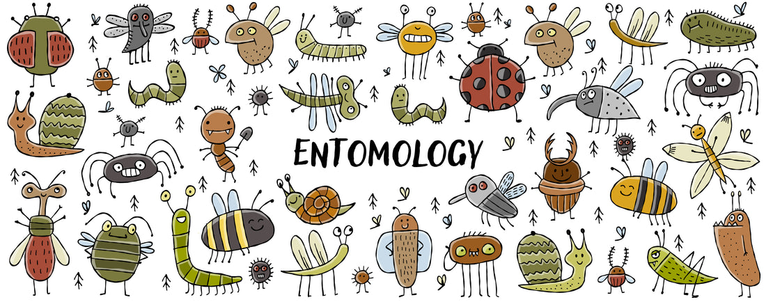 20 Quotes about Insects, Nature and Entomology
