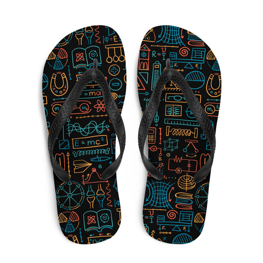 Flip-Flops Physics kudrylab