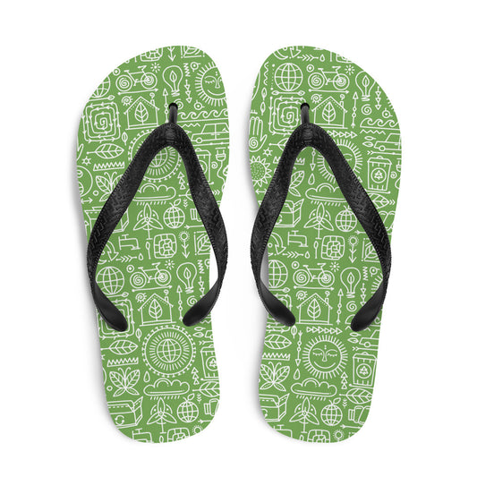 Flip-Flops Ecology kudrylab