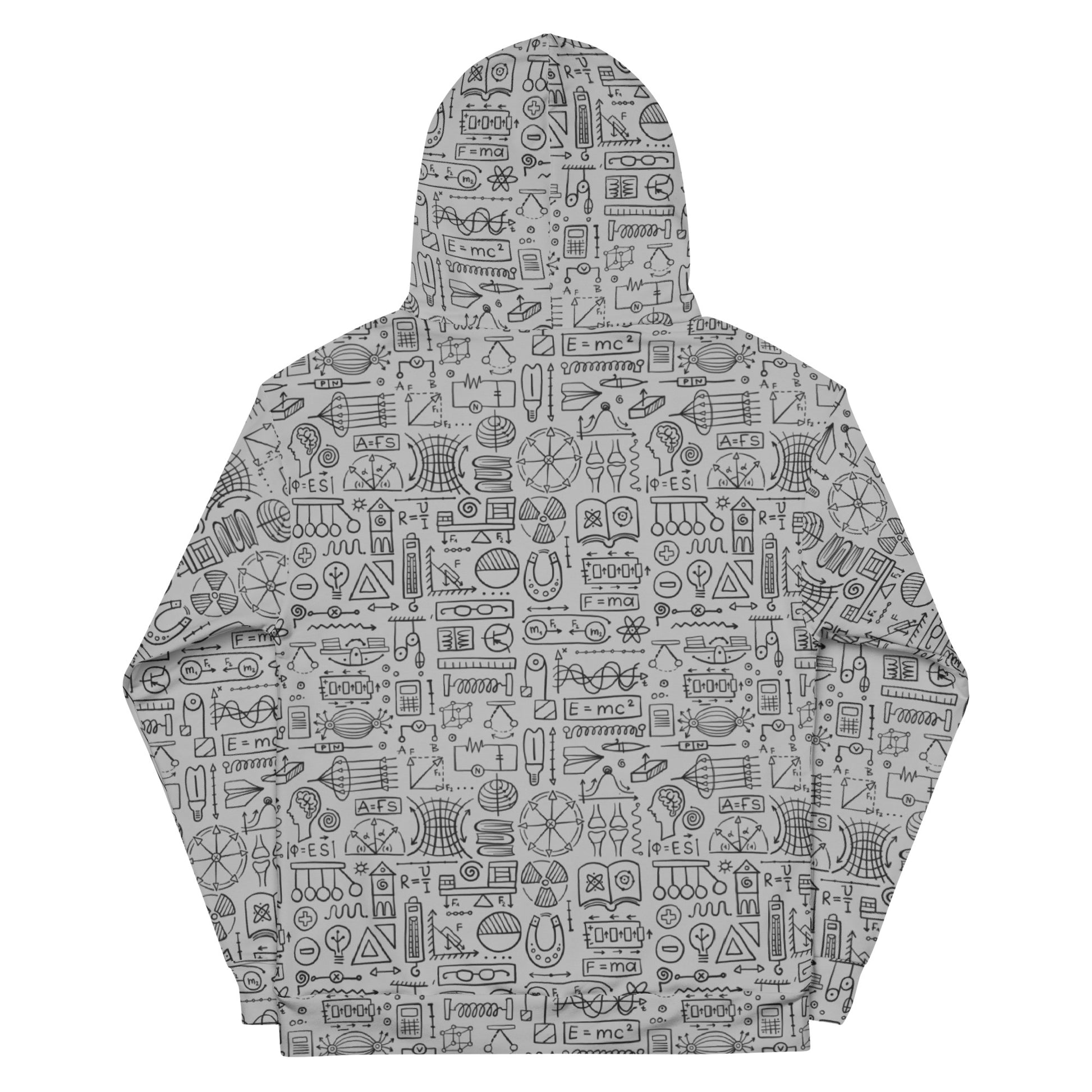 Unisex Hoodie grey color. Abstract Physics print. Back side