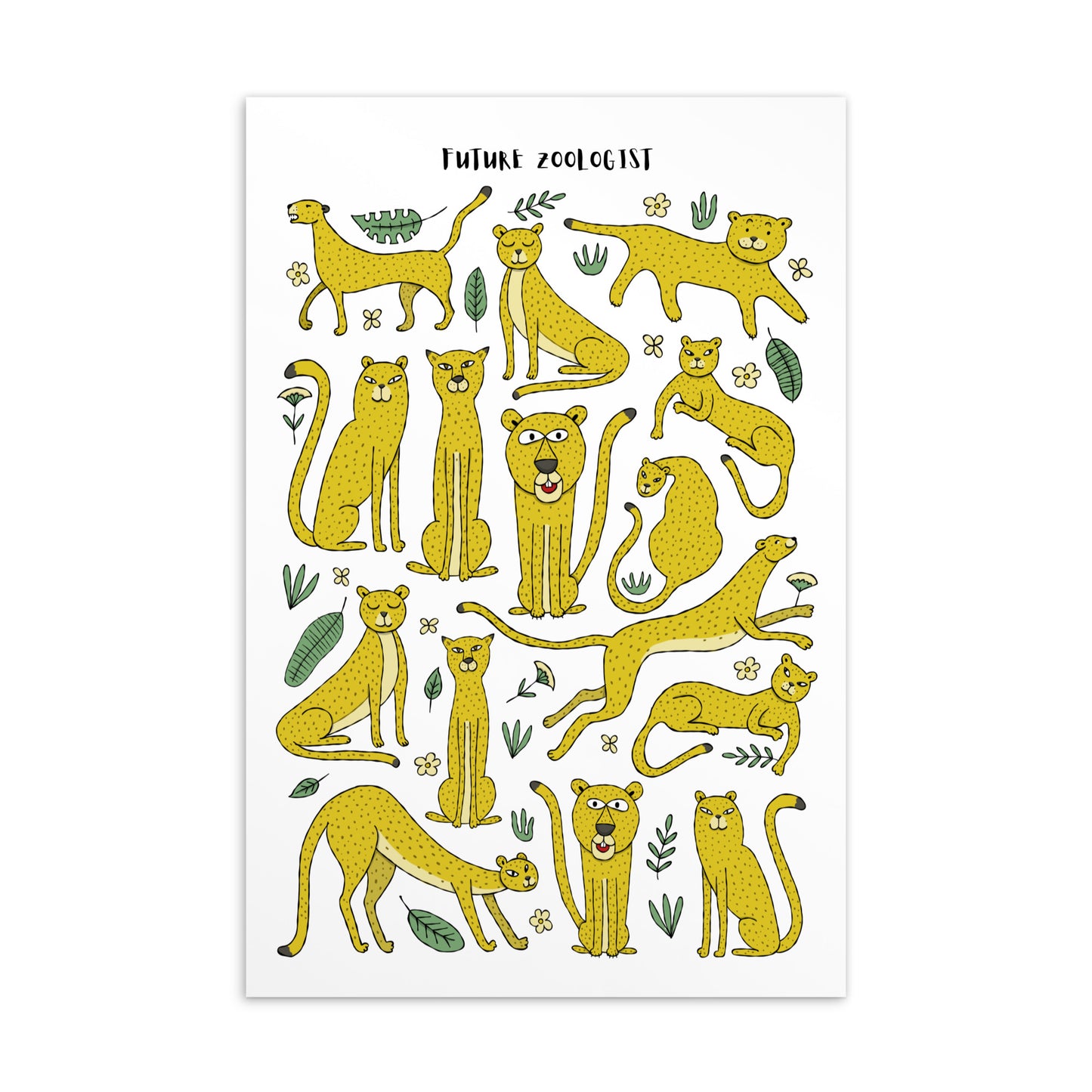 Standard Postcard Leopards Zoology kudrylab